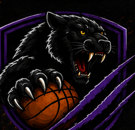 Panthers logo